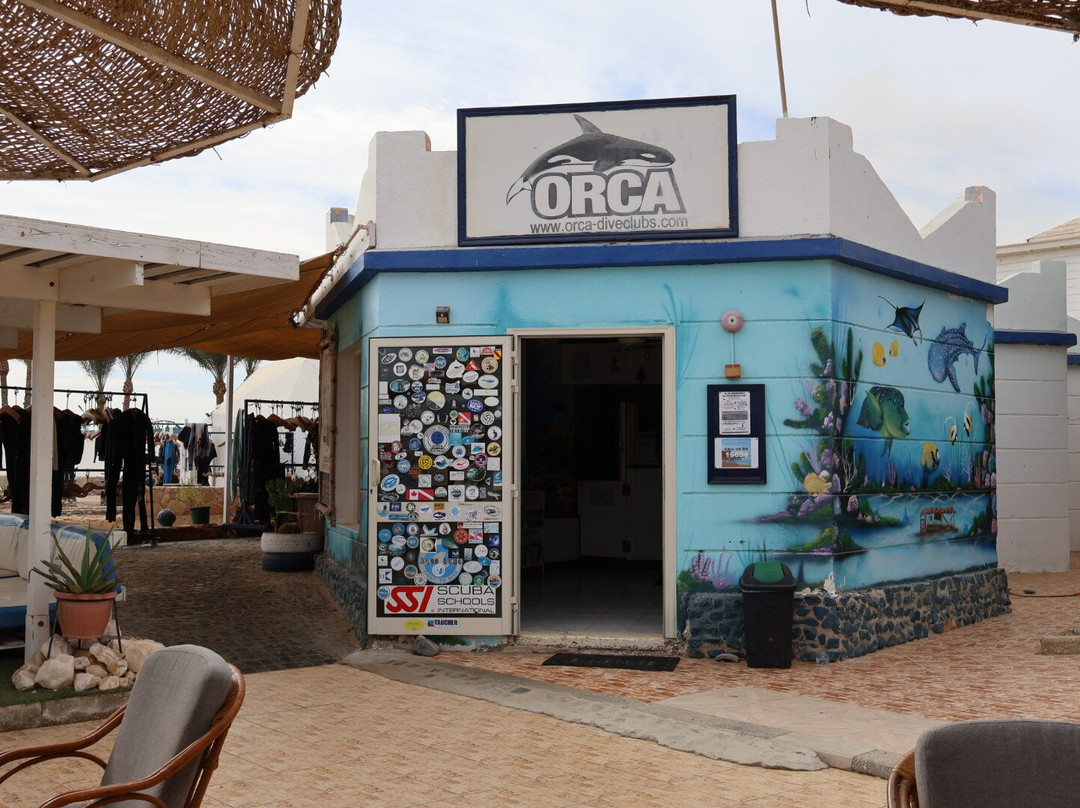 ORCA Dive Club Coral Garden-Safaga必去景点