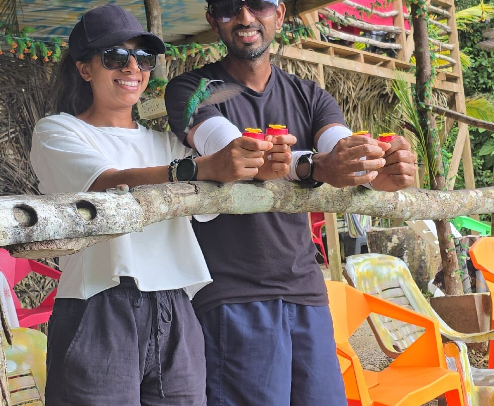 Dennison's Tourguiding Services-斯卡伯勒必去景点