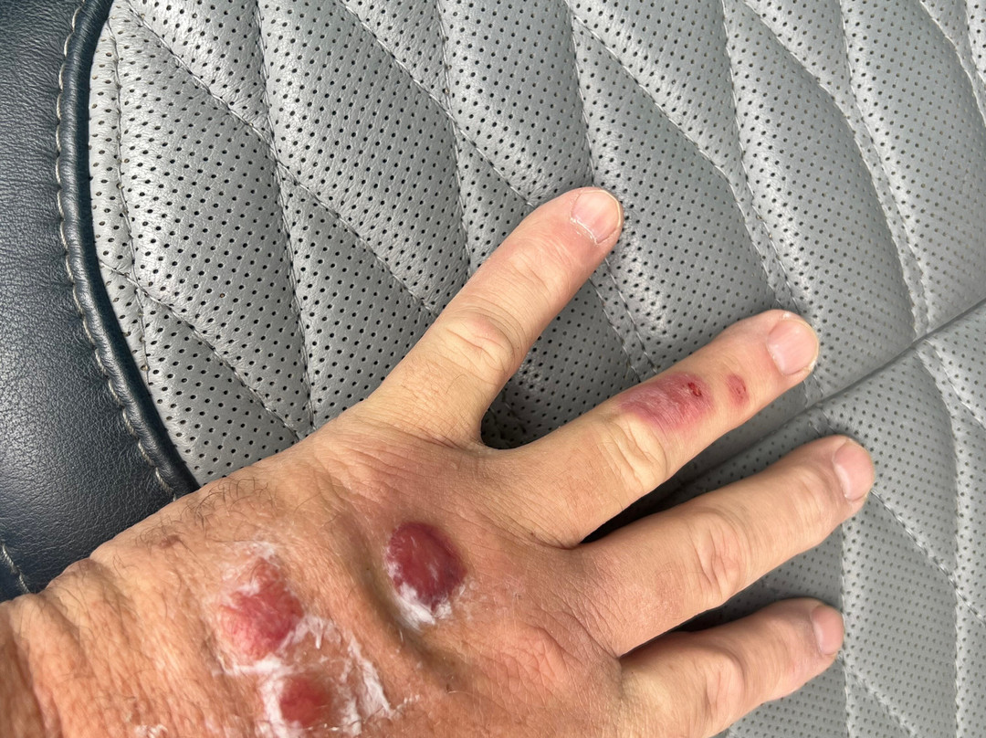 La Quinta by Wyndham Lebanon主图