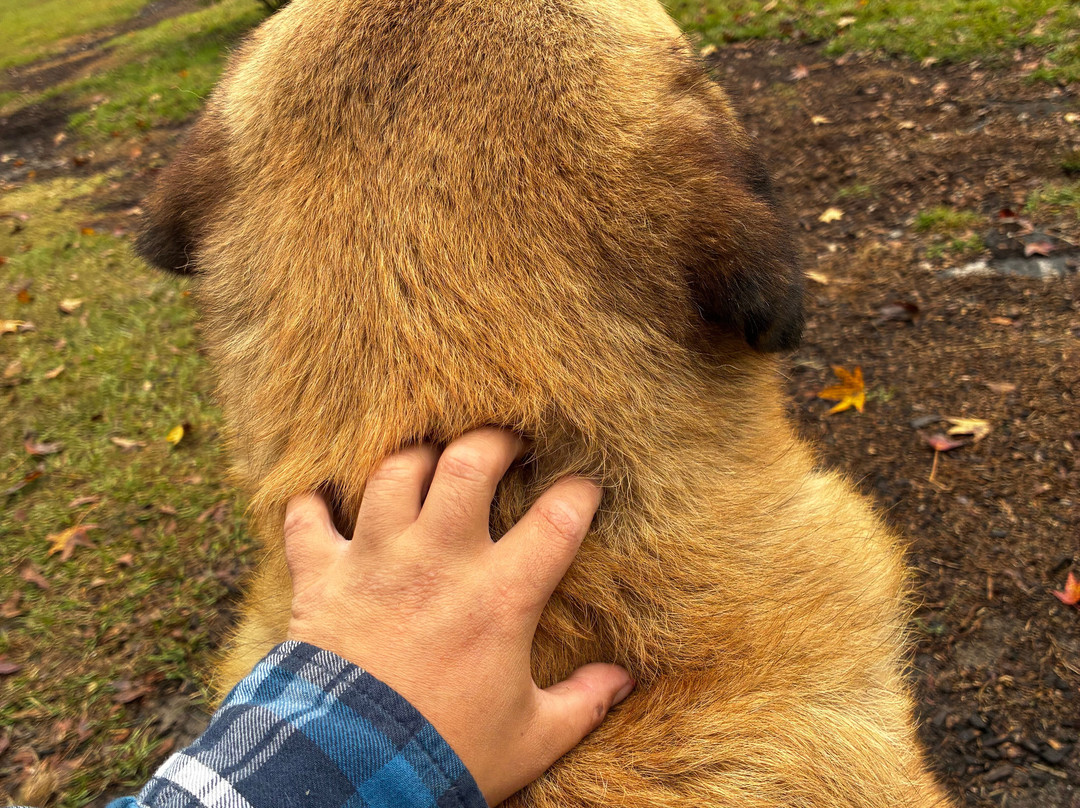 Rooterville Animal Sanctuary-Melrose必去景点