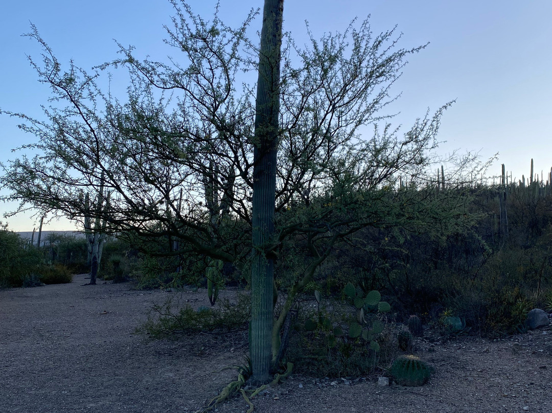 Bio Fan-Tehuacan必去景点