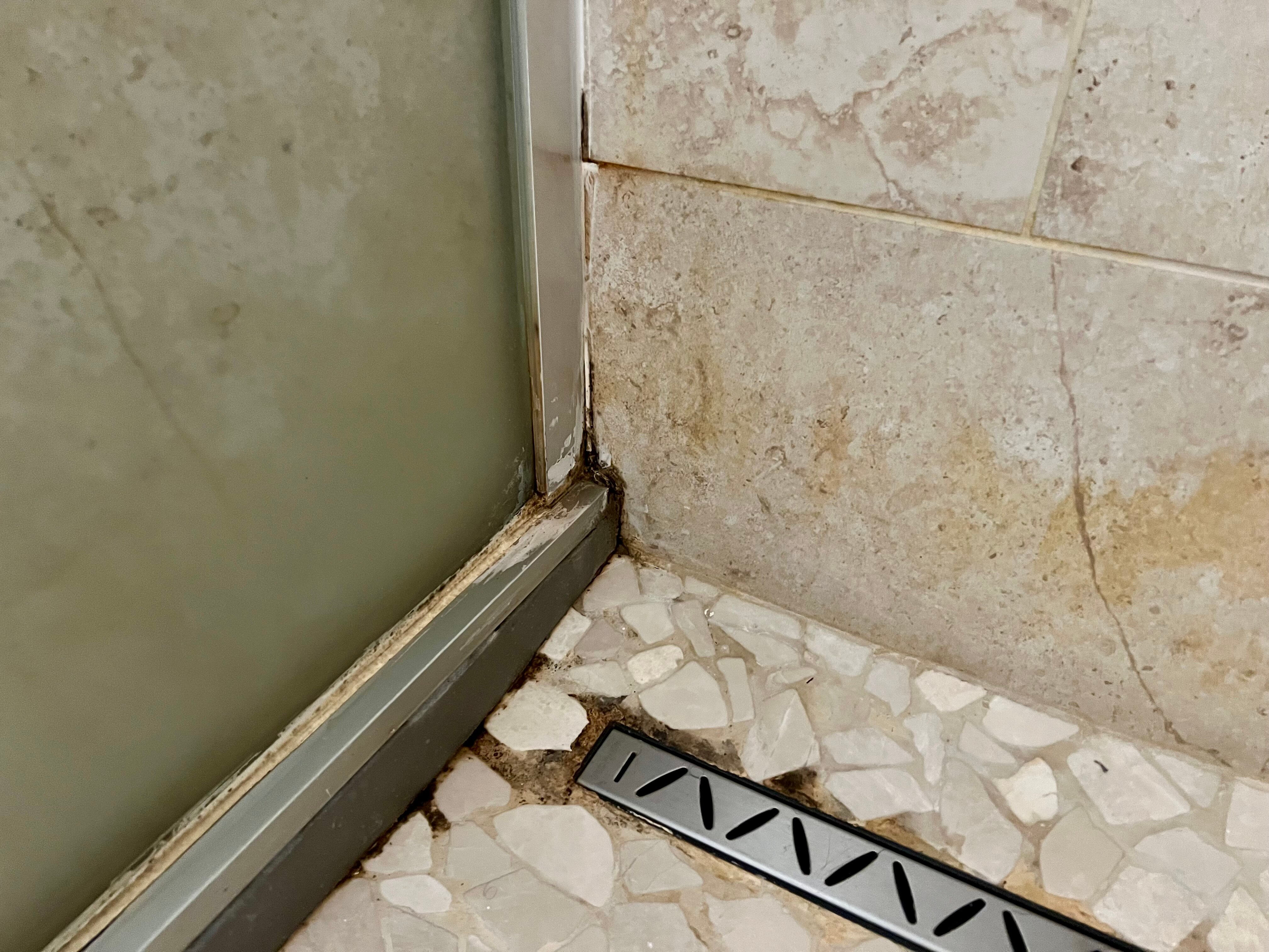 hotel AUSTRIA-官方