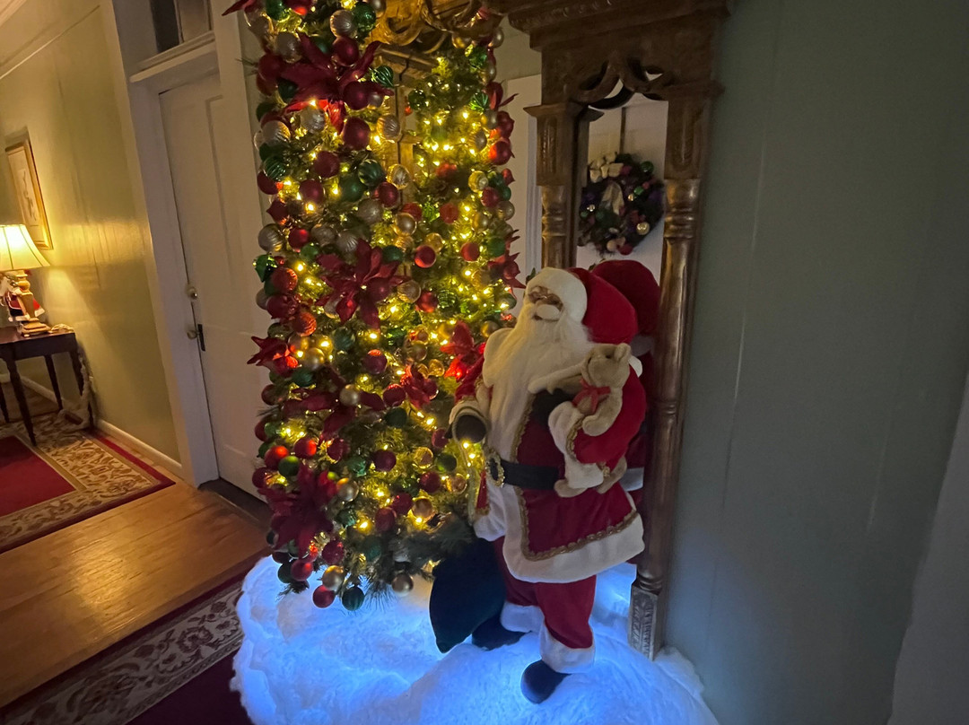 Violet Hill Bed And Breakfast主图