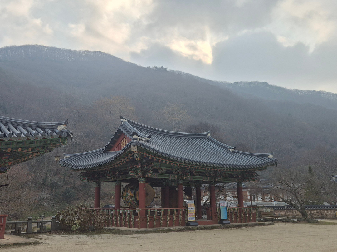 Bulhoesa Temple-罗州市必去景点