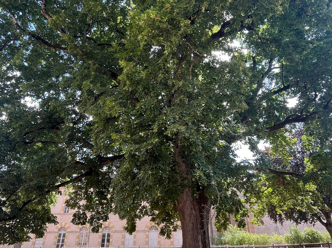 Haras National de Cluny-Cluny必去景点