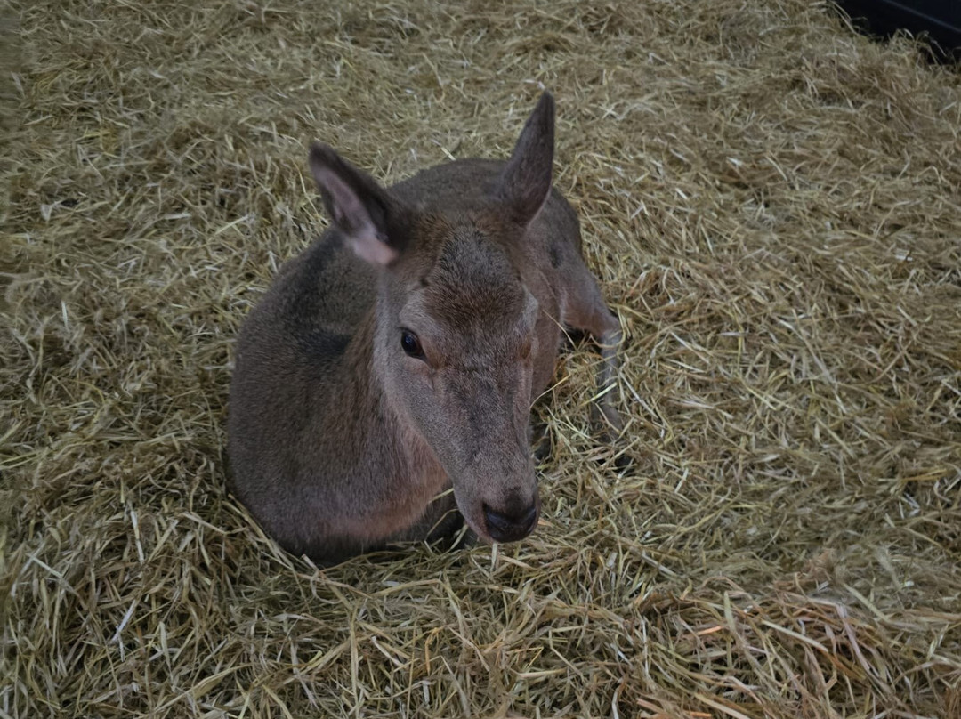 Farm Stop-Portlethen必去景点