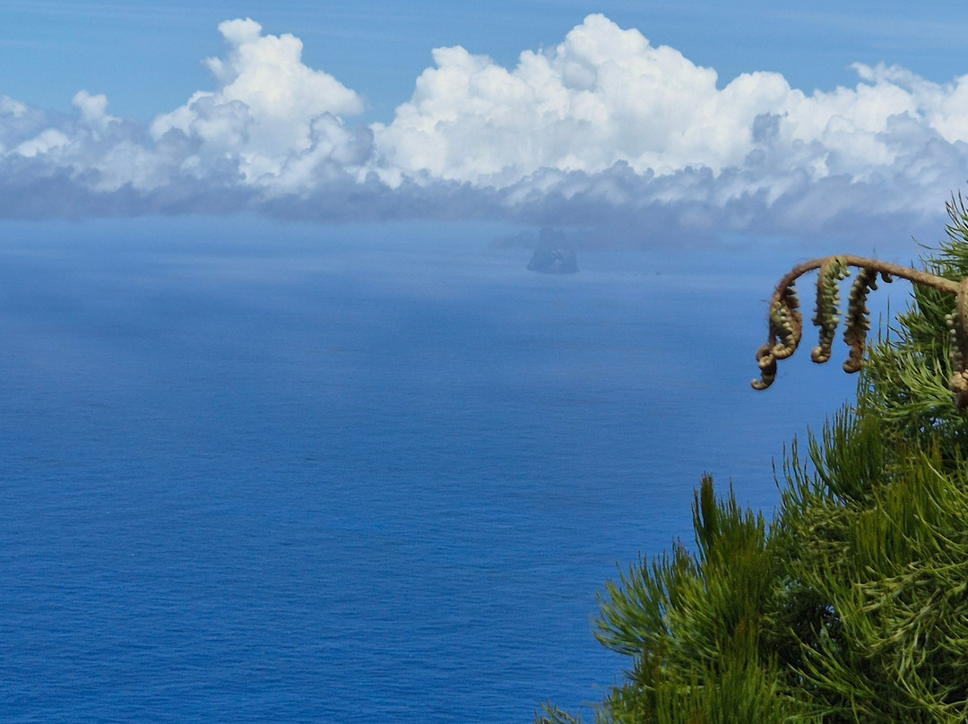 Lord Howe Environmental Tours-豪勋爵群岛必去景点