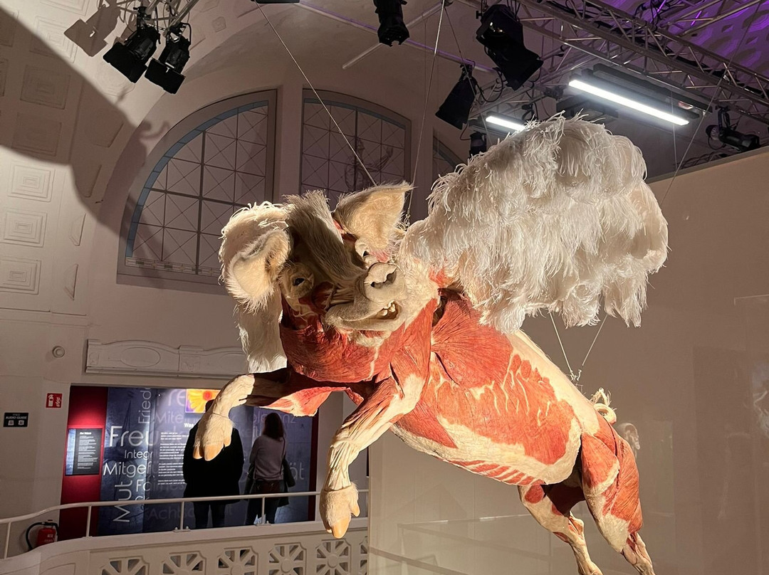 KORPERWELTEN Museum – Anatomie des Glücks-海德尔堡必去景点