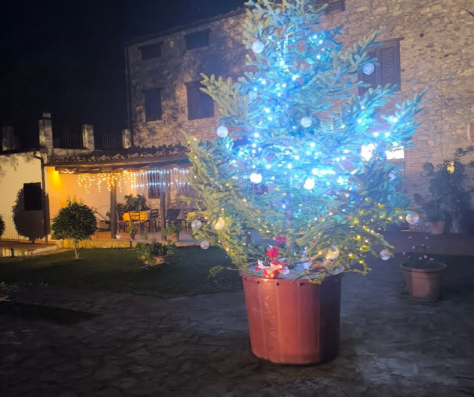 Agriturismo L'Antico Casale主图