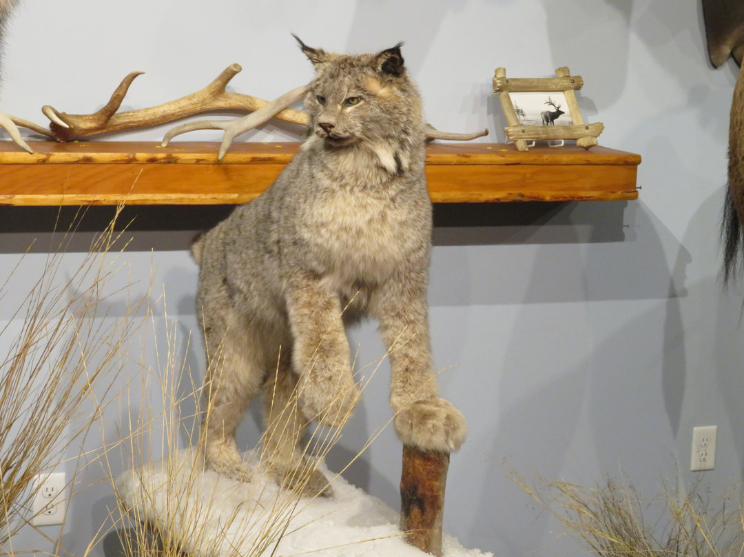 Jackson Hole Historical Society & Museum-杰克逊必去景点