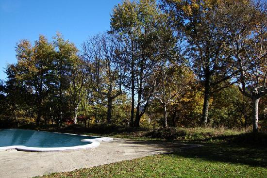 Tenuta Savorgnano主图