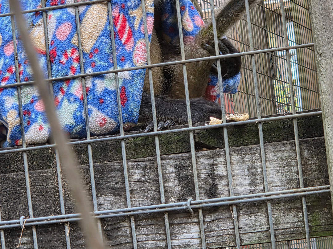 TGR Exotics Wildlife Park-斯普林必去景点