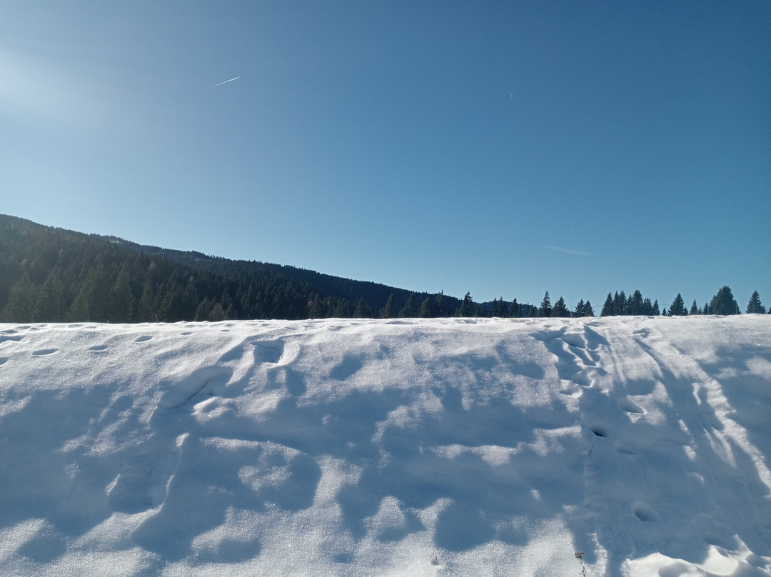 Albergo Ristorante Forte Cherle主图