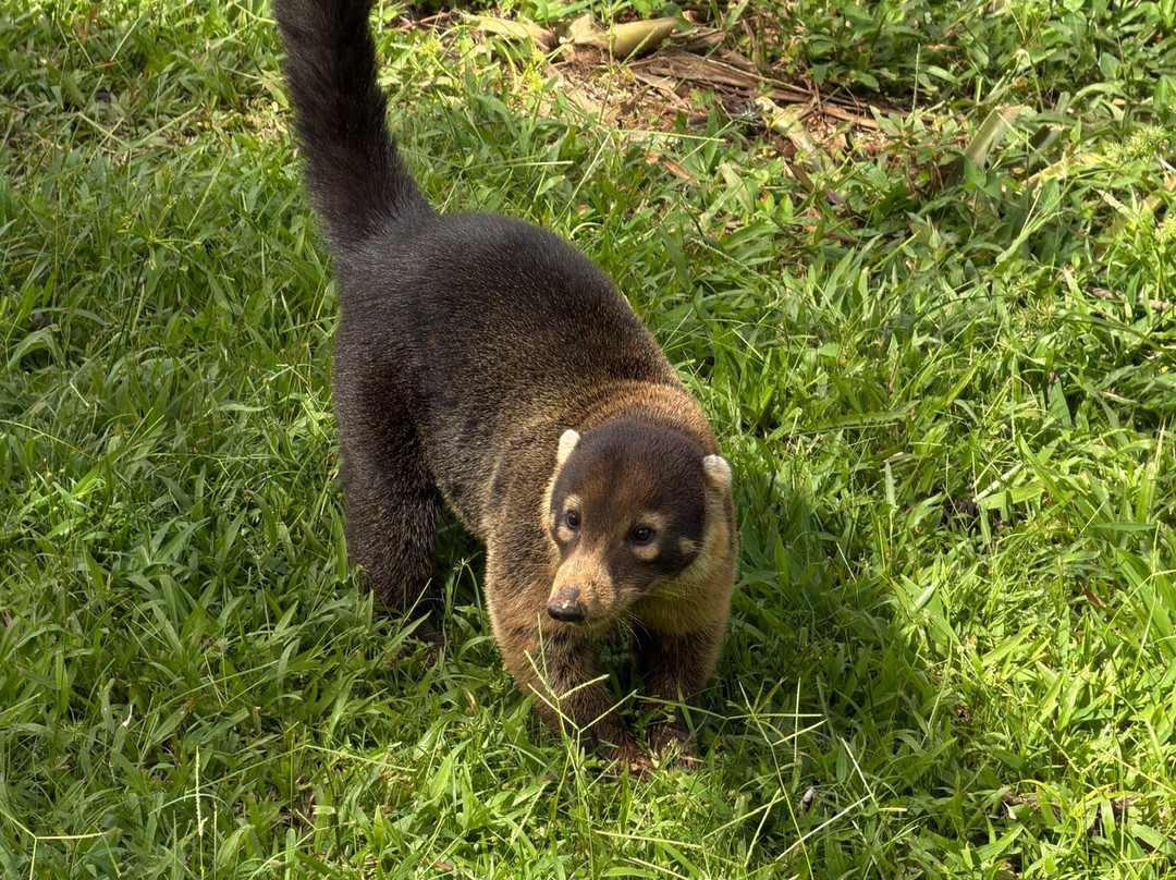 Nauyaca Waterfall Nature Park-Baru必去景点