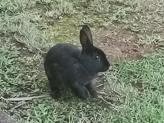 Aqua Terra Guest House主图