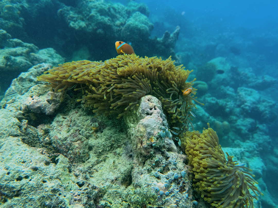 Sail La Vie - Maldives - Luxury Sailing Catamaran-马累必去景点