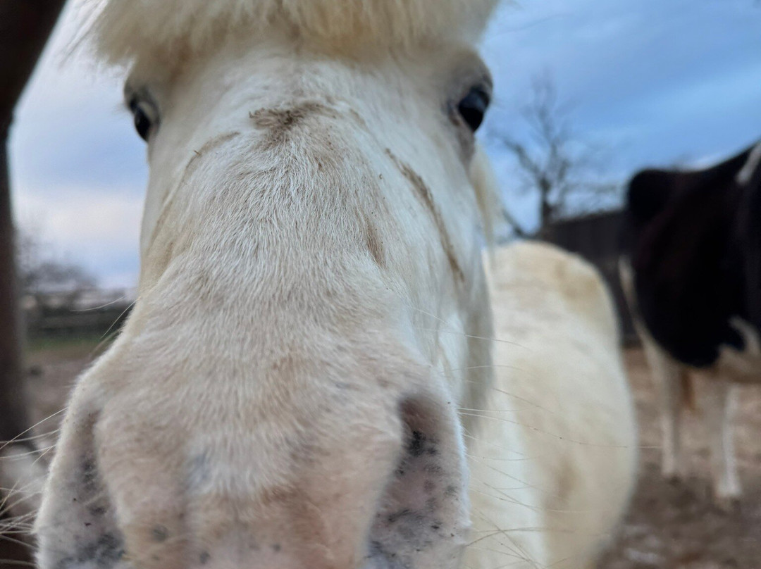 Quinta Fotoplanet Farm-阿尔布赞拉必去景点