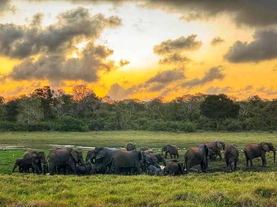 The Aurelia Concierge-瓦塔木必去景点