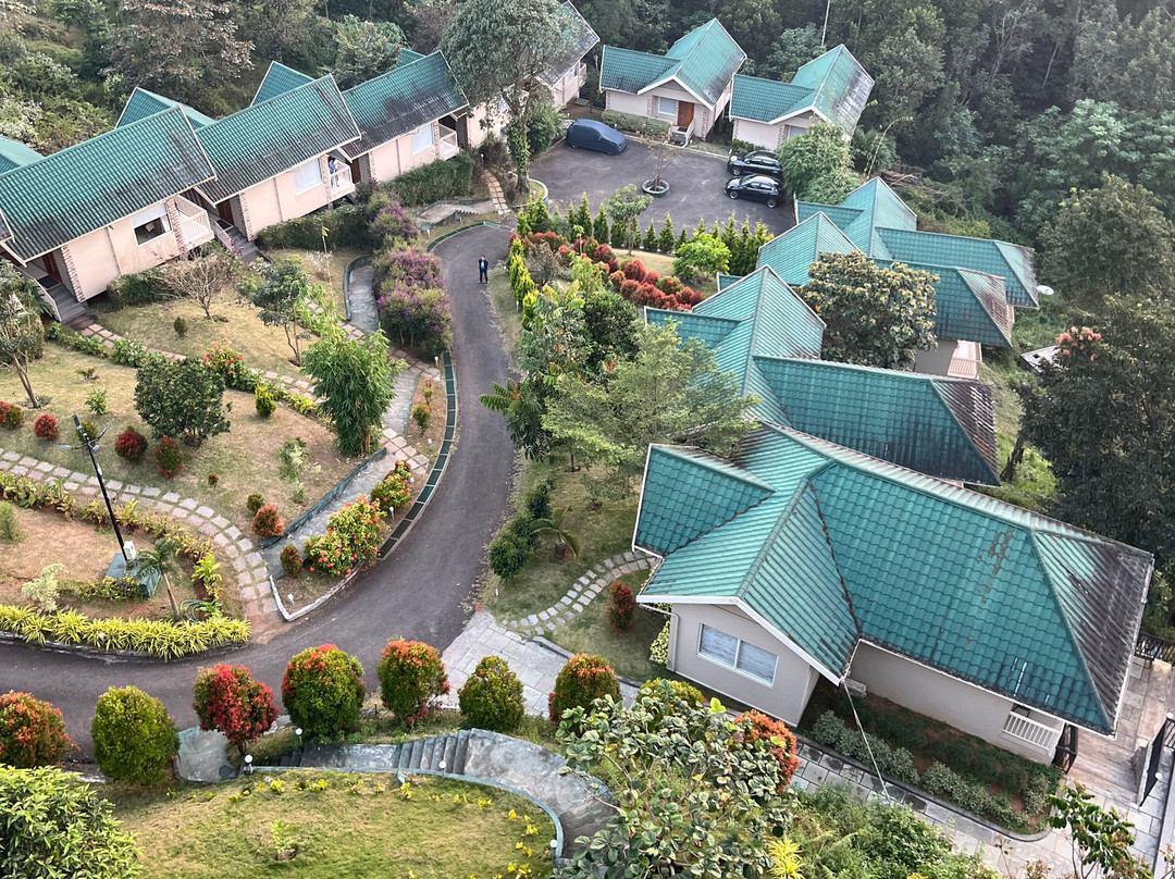 Aveda Mountains And Mist - Munnar主图