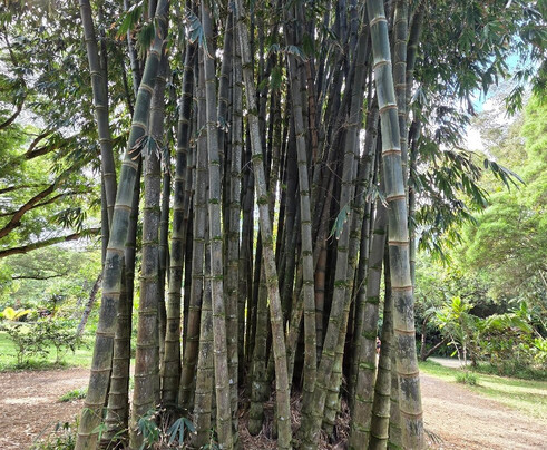 Exclusive Private Maui Tours & Transportation-毛伊岛必去景点