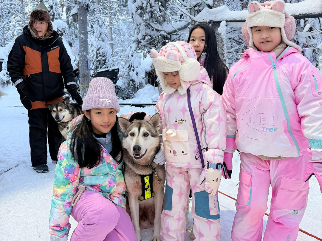 Tundra Huskies Huskyfarm-Levi必去景点