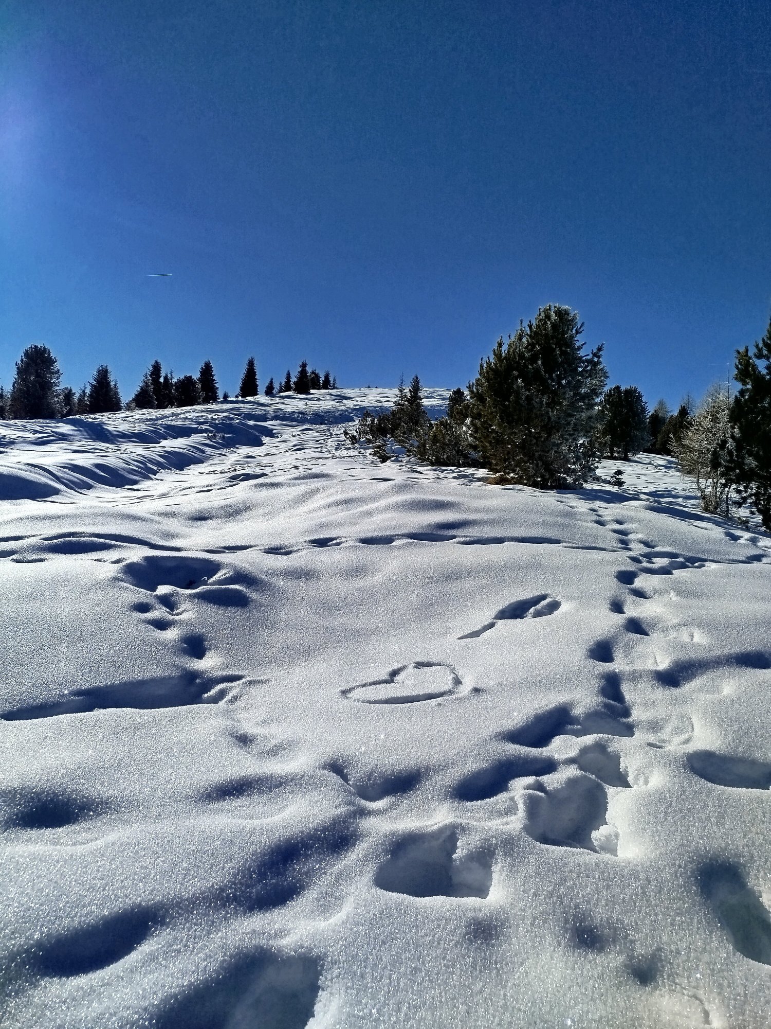 Alpine Nature Hotel Stoll-官方