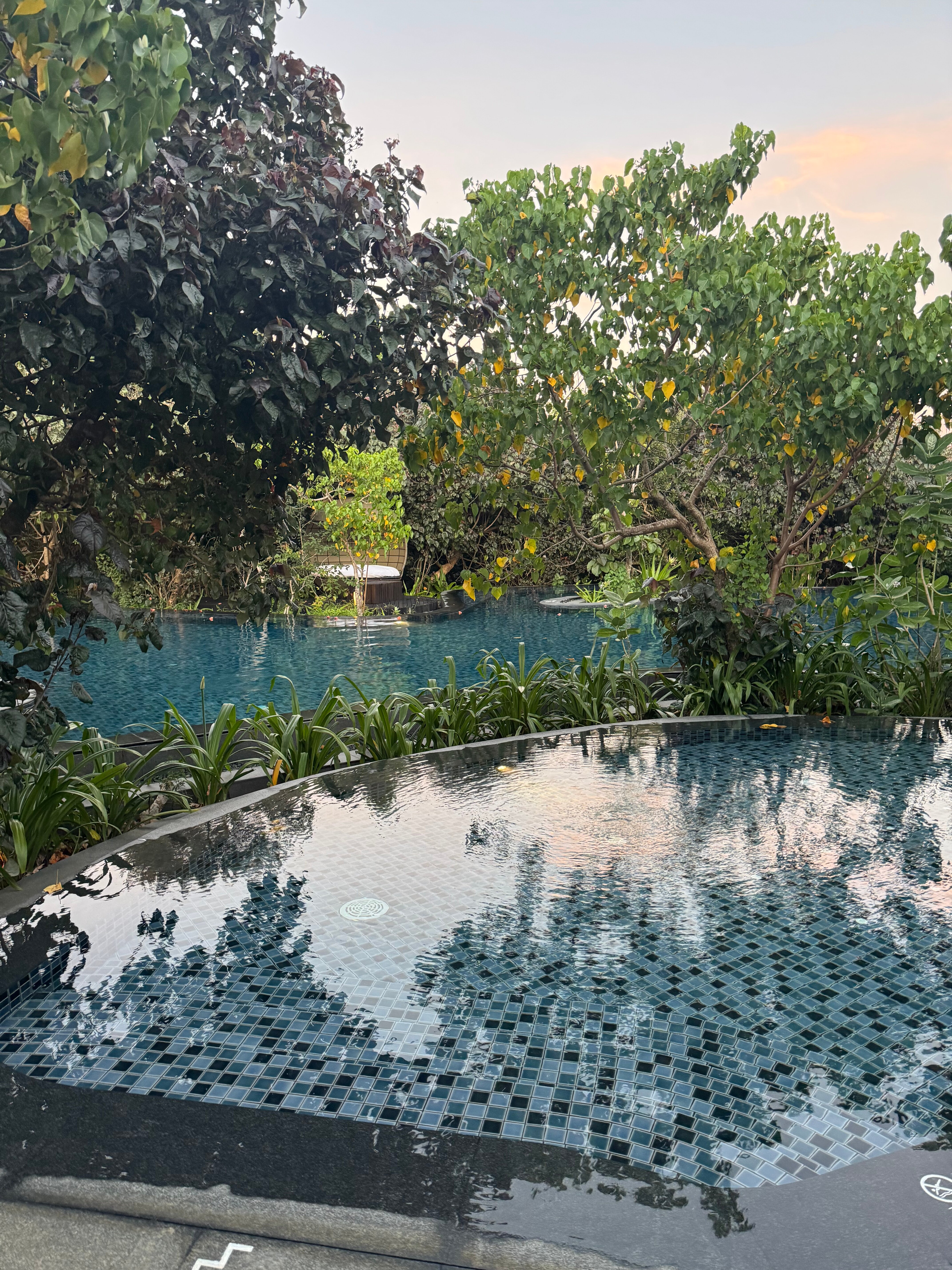 Hilton Yala Resort-官方