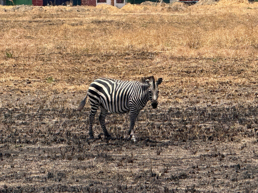 Kima Adventures-Dar es Salaam必去景点