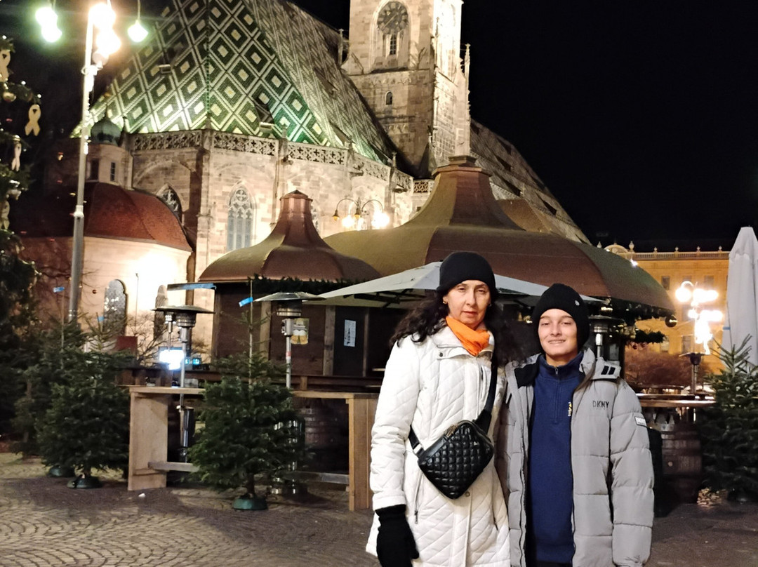 Bolzano Christmas Market-博尔扎诺必去景点