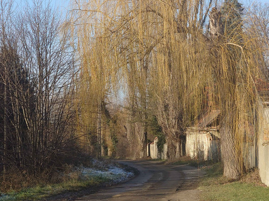 Kościół Pw. Świętych Apostołów Piotra i Pawła-Bogatynia必去景点