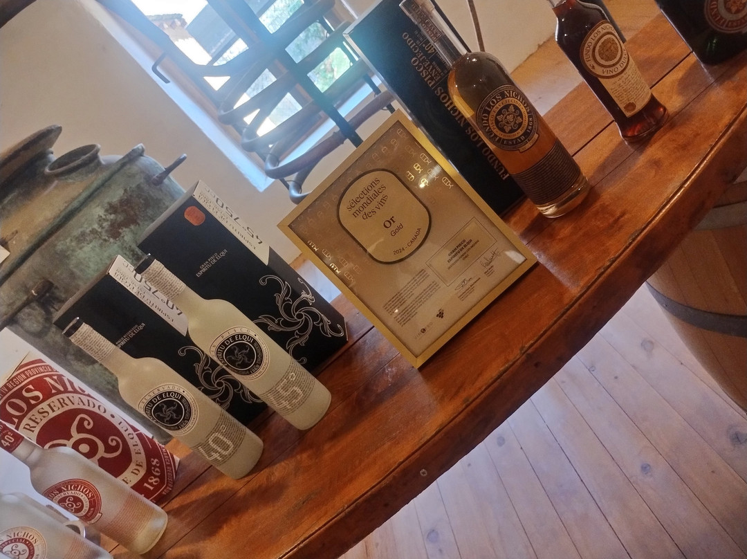 Fundo Los Nichos-Pisco Elqui必去景点