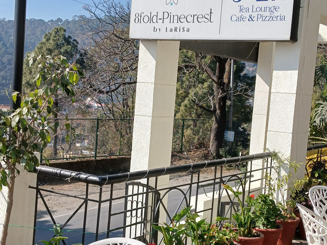 8fold-pinecrest By Larisa, Bhimtal主图