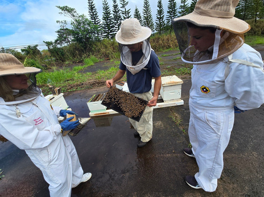Mānoa Honey & Mead-瓦西瓦必去景点