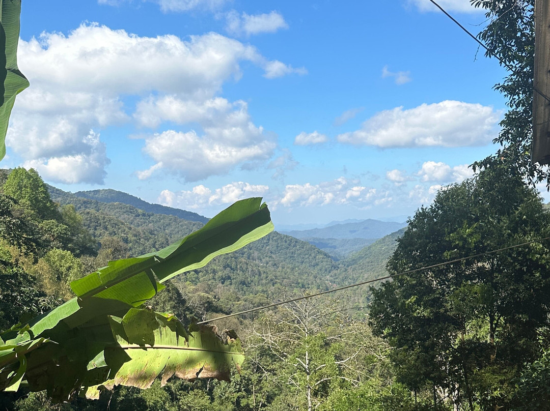 King Kong Smile Zipline-雷沙革必去景点