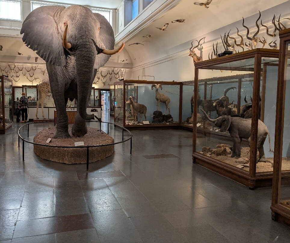 The Natural History Museum-哥德堡必去景点