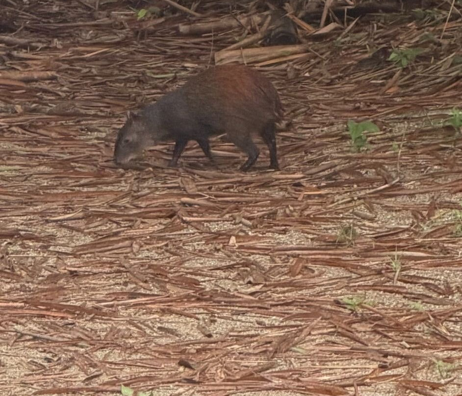 Unlock Nature-帕拉马里博必去景点