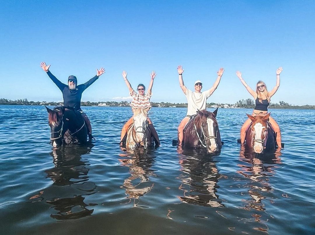 Florida Beach Horses-布雷登顿必去景点