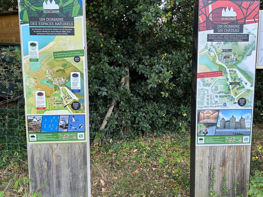 Chateau Suscinio-Sarzeau必去景点