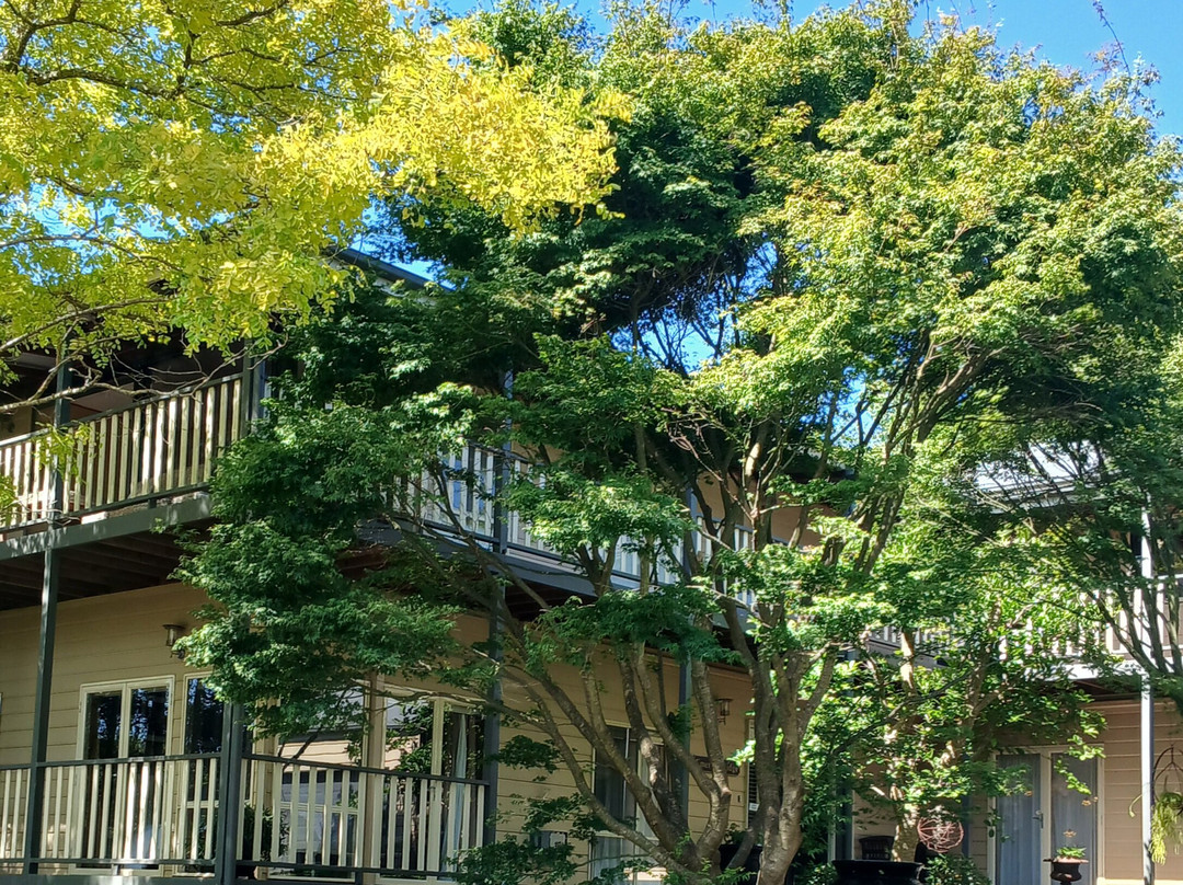 Emerald Ridge Bed & Breakfast主图