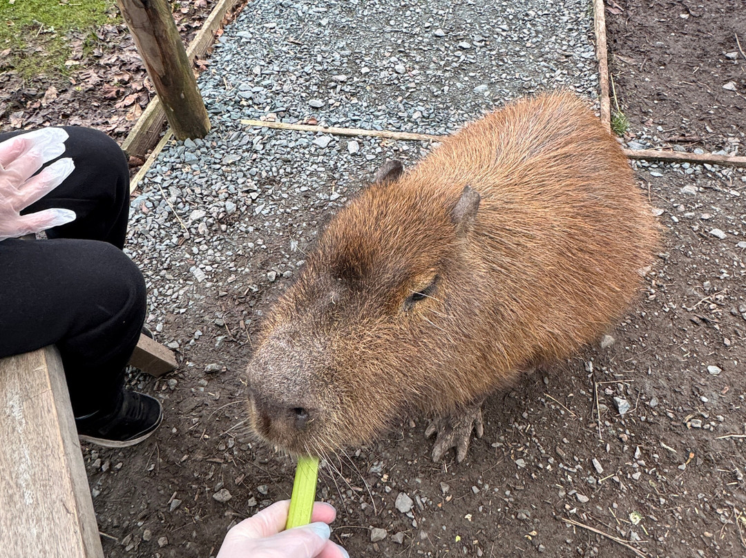 Wild Discovery-普雷斯顿必去景点