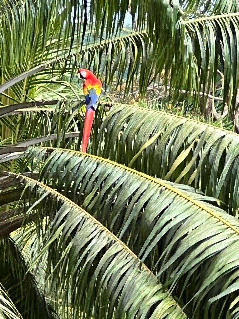 LagunaVista Villas-官方