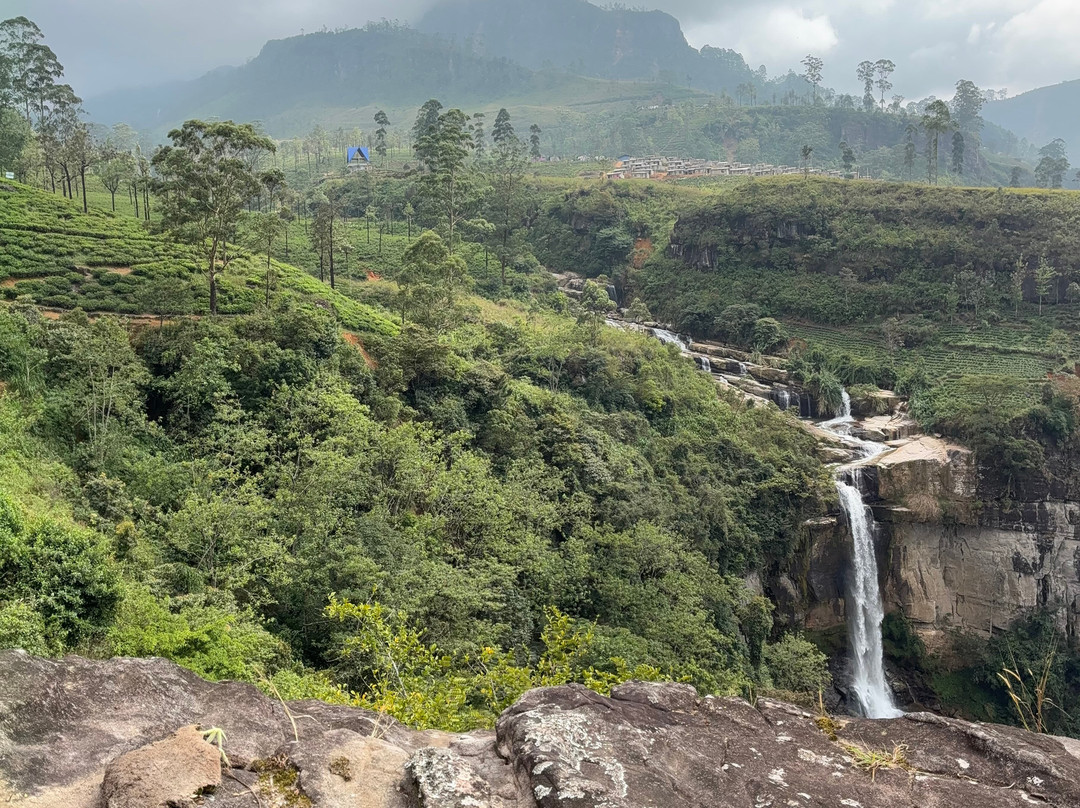 VAC Spices and Tea-科伦坡必去景点