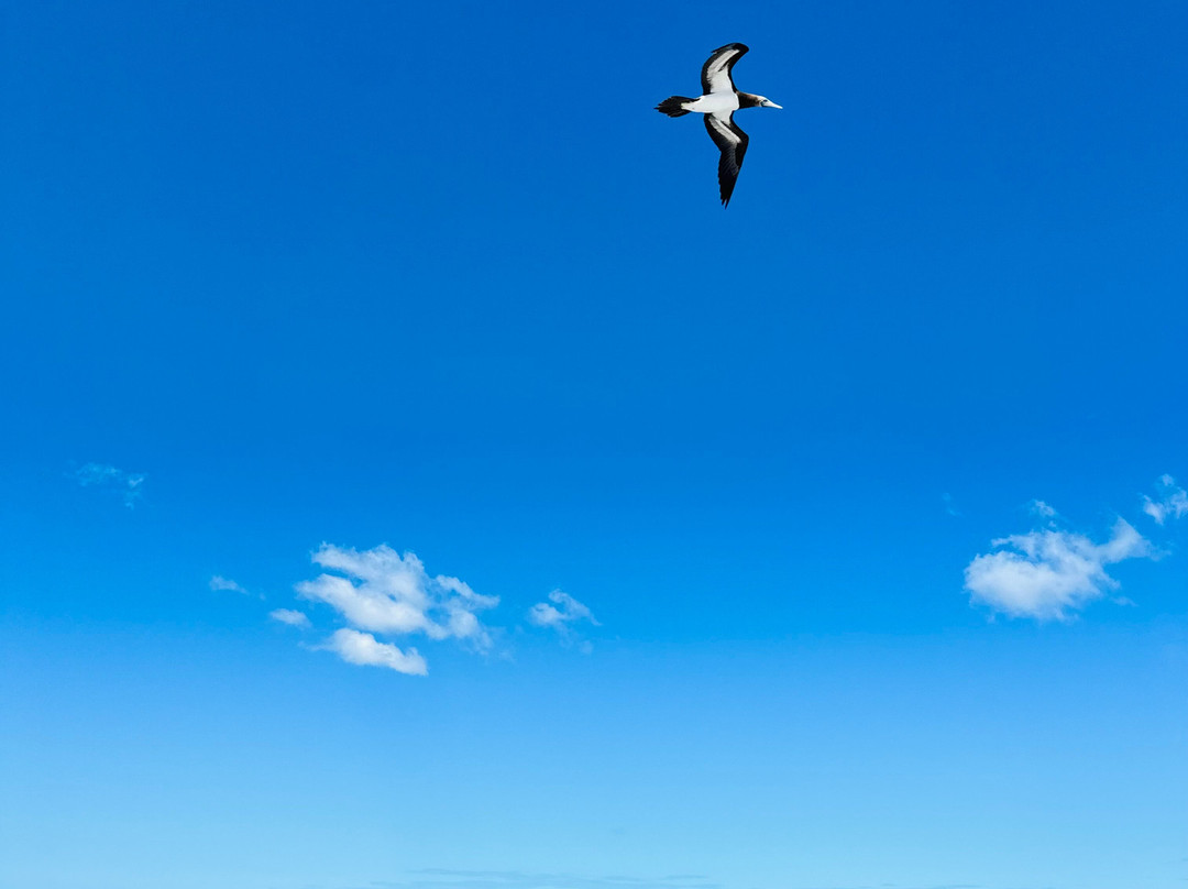 Playa Flamingo Best Beach Concierge-Playa Flamingo必去景点