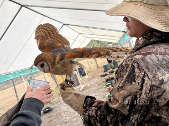 International Falconry Academy-Live Oak必去景点