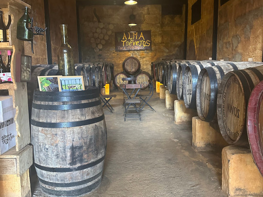 Alma de Trevejos-Vilaflor必去景点