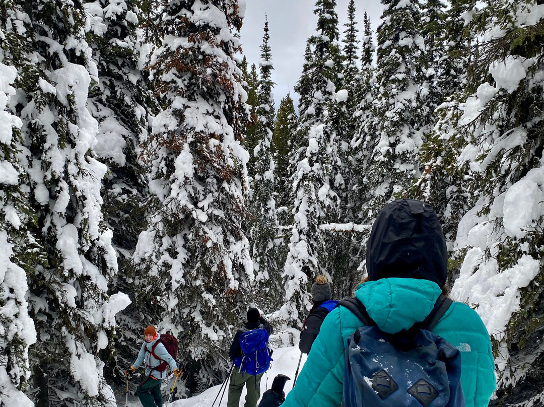 Uplift Adventures-科尔曼必去景点