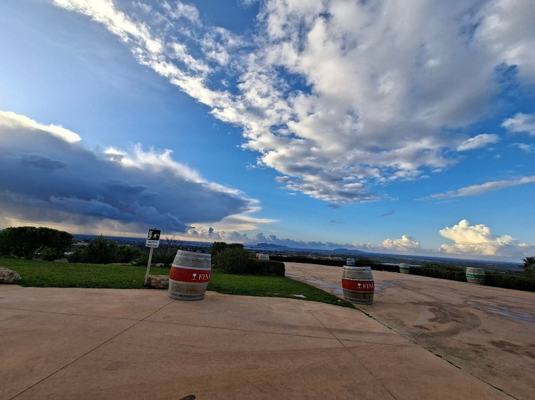 Cantine Fina-马尔萨拉必去景点
