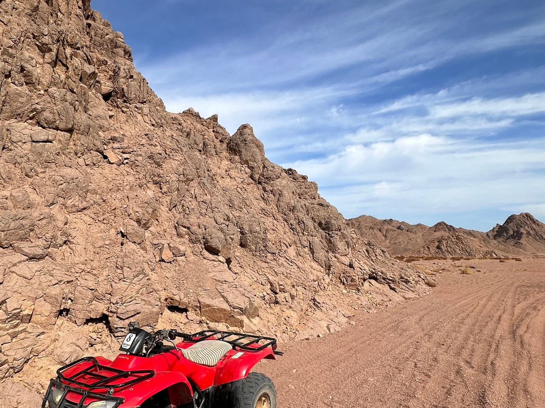 Chill Tours-Port Safaga必去景点