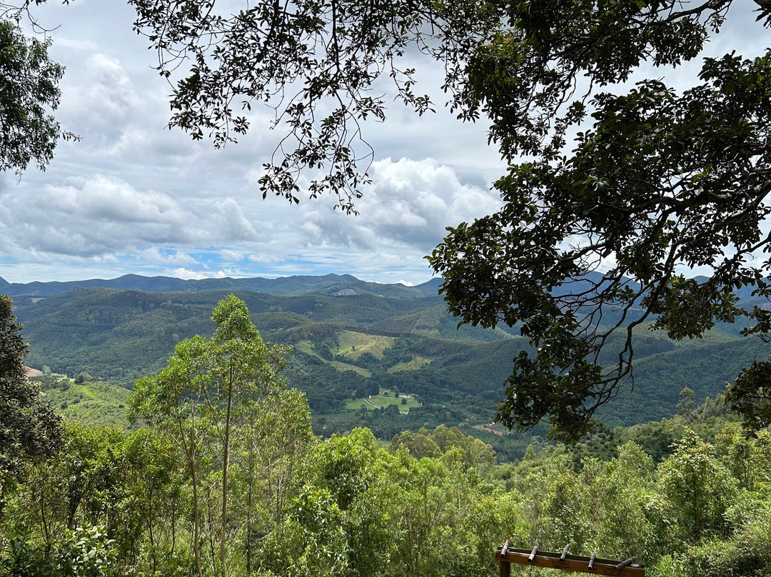 Araukaria Brazil - Monte Verde-蒙特贝尔德必去景点