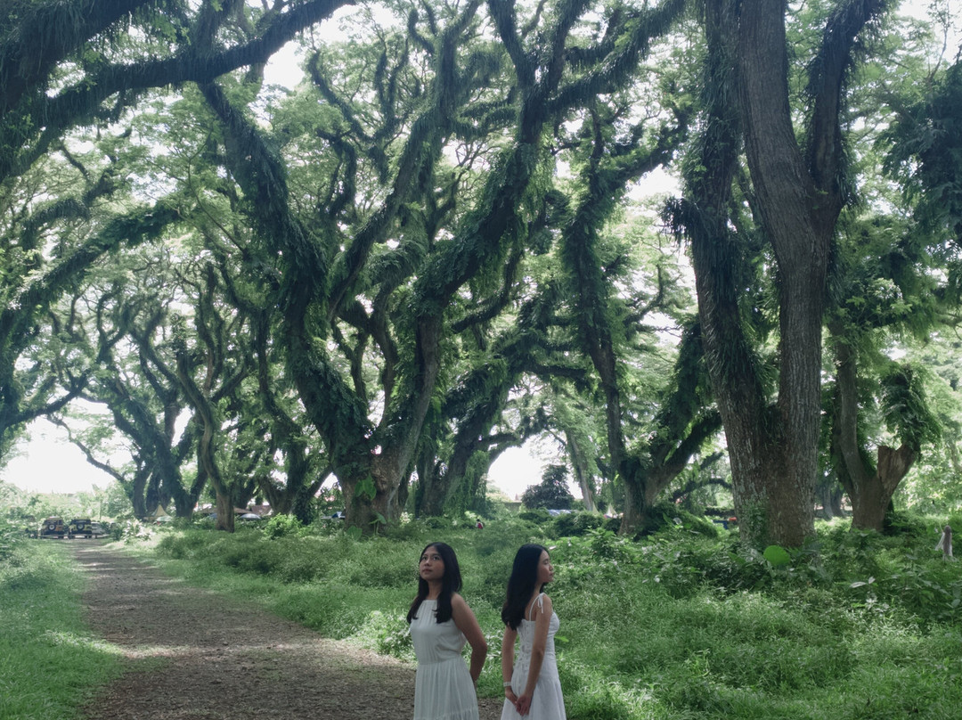 Yukbanyuwangi-巴纽旺宣必去景点